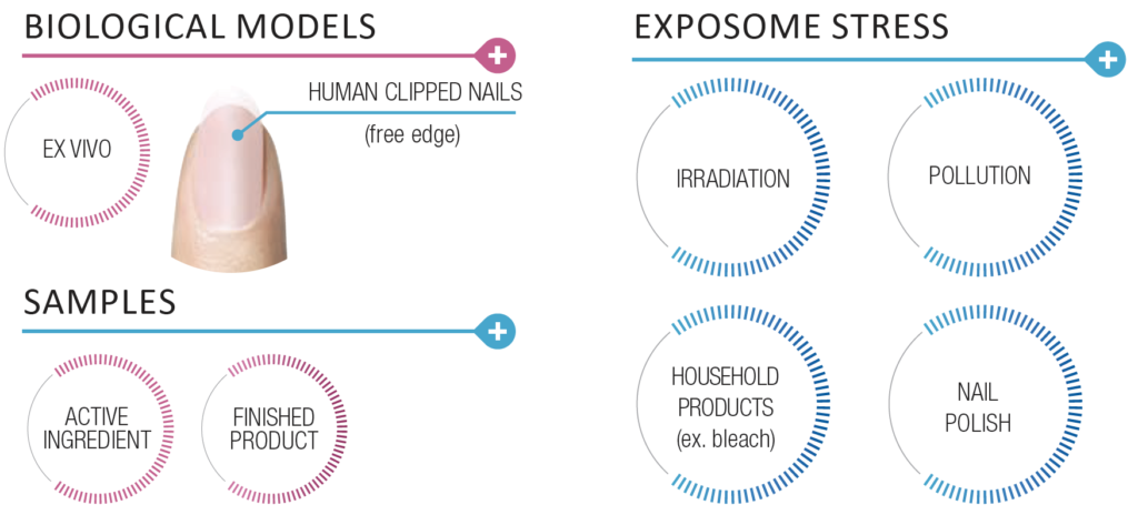 oxiproteome tech platform nail