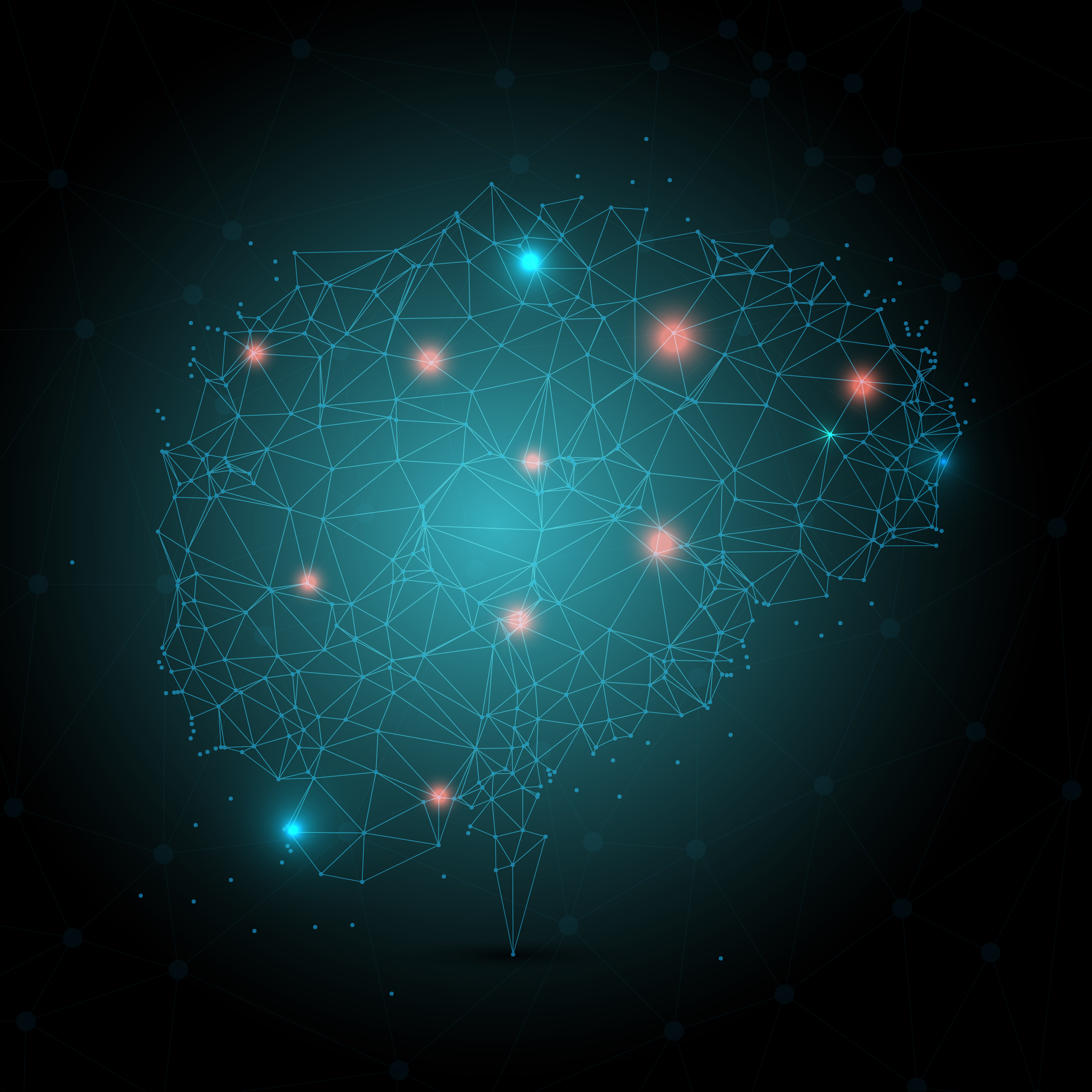 Image of skin-brain